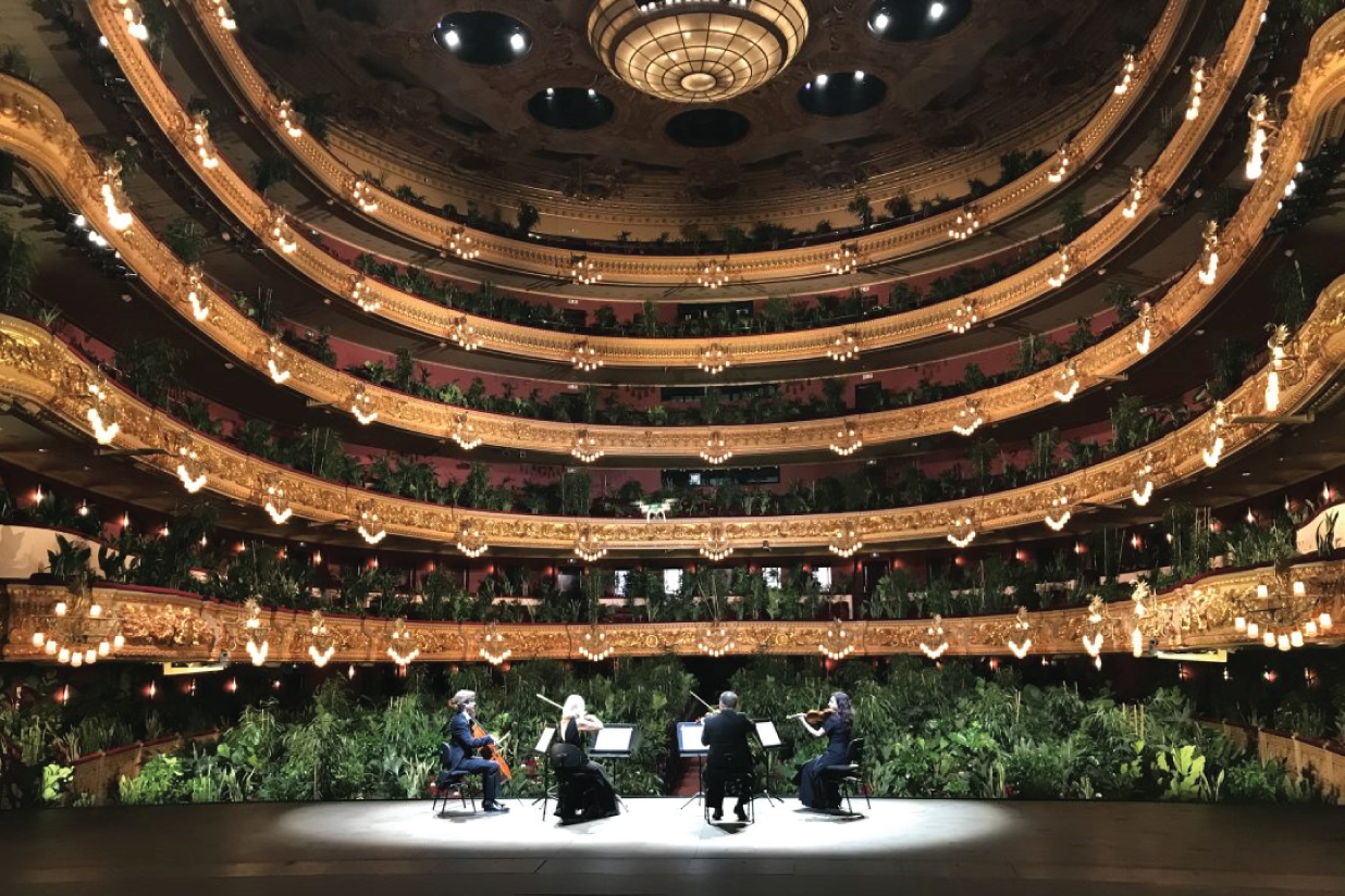 A Unique Medley of Music and Nature