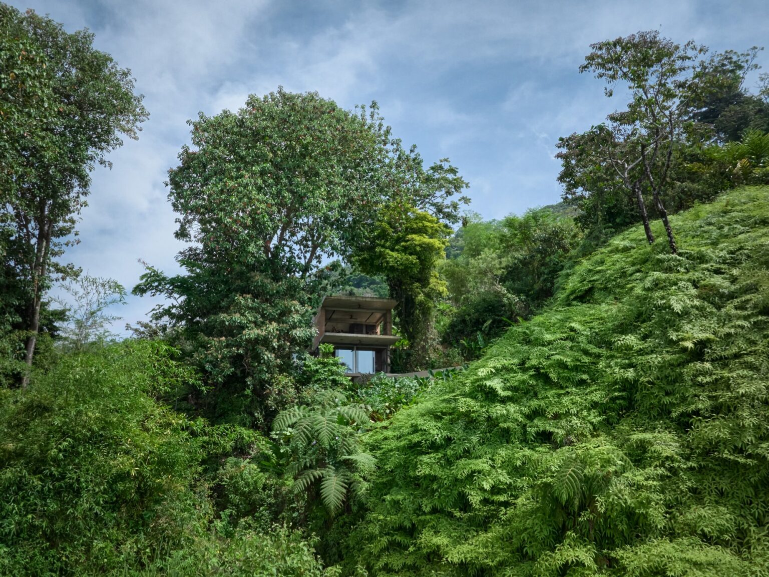 Studio House: Between Sky, Earth, and Ocean