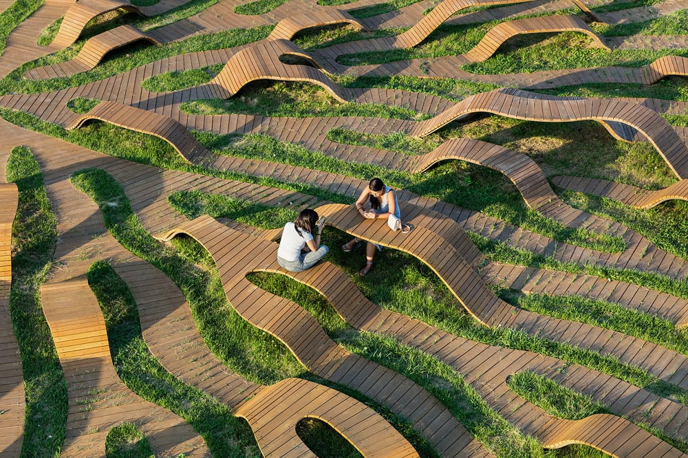 The Root Bench