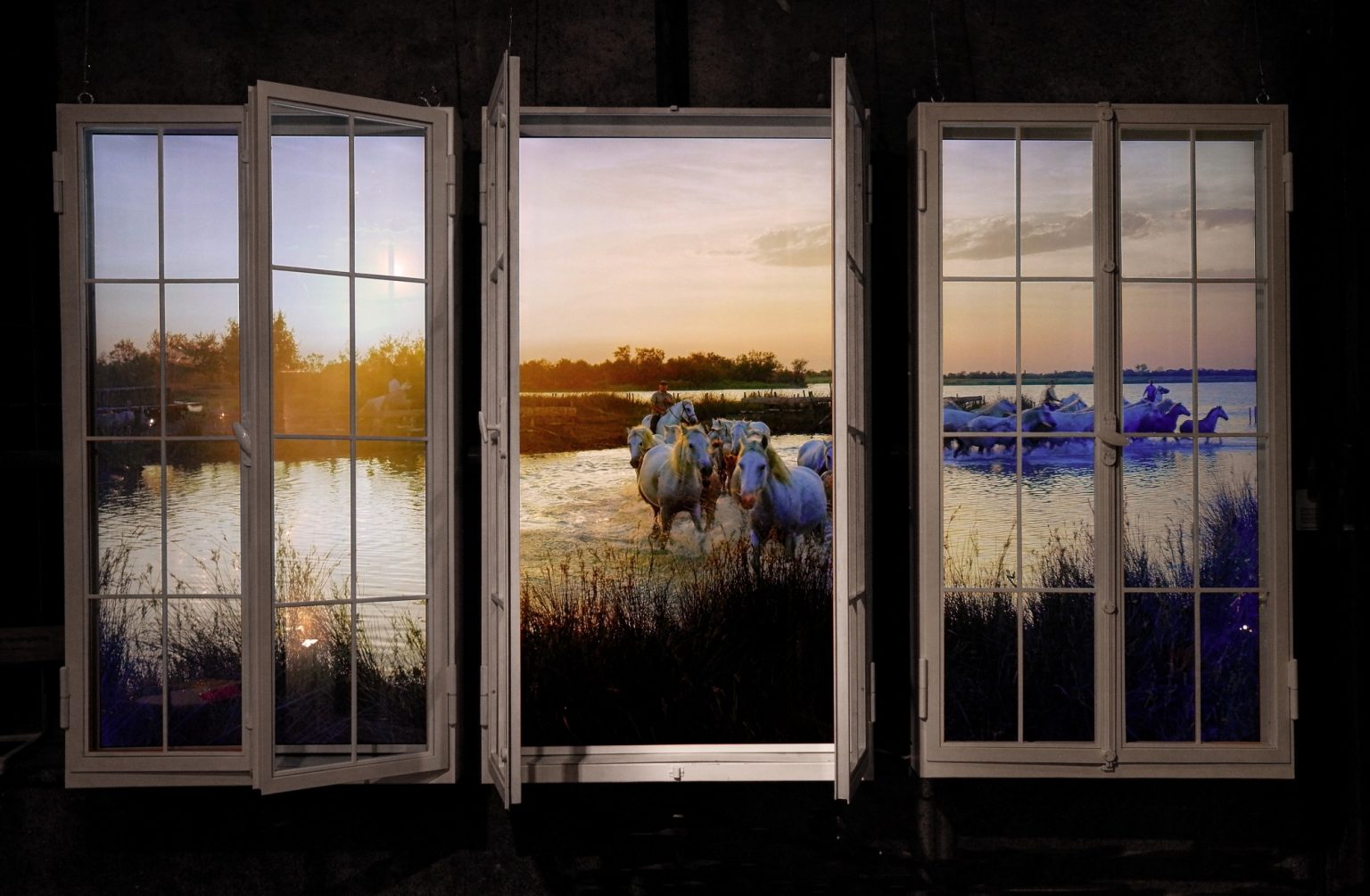 Windows that Open into the World