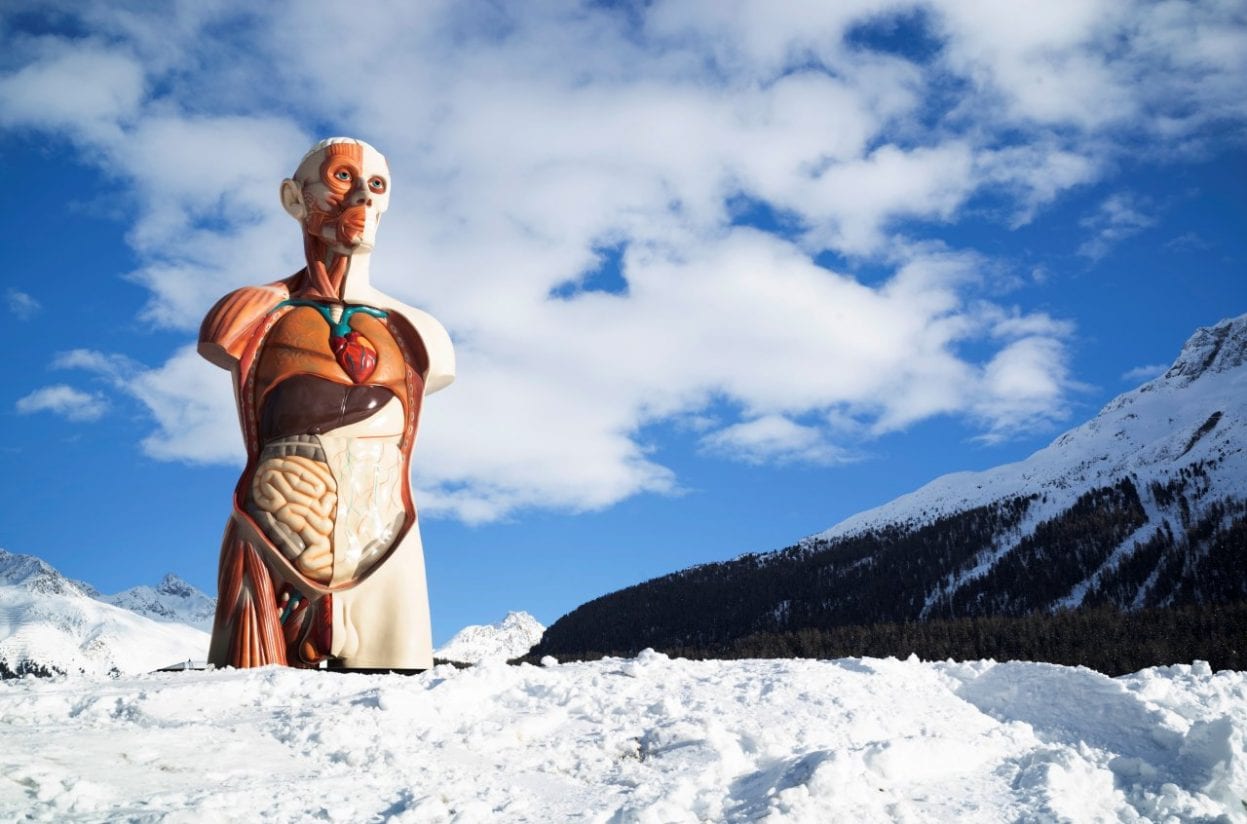 Damien Hirst Takes Over Lake St. Moritz