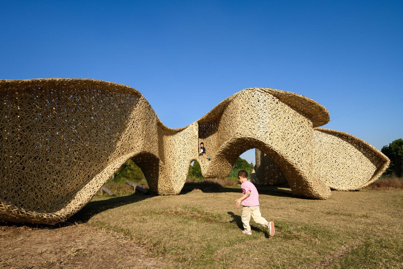 A Bamboo Inspired Rural Space Experimentation