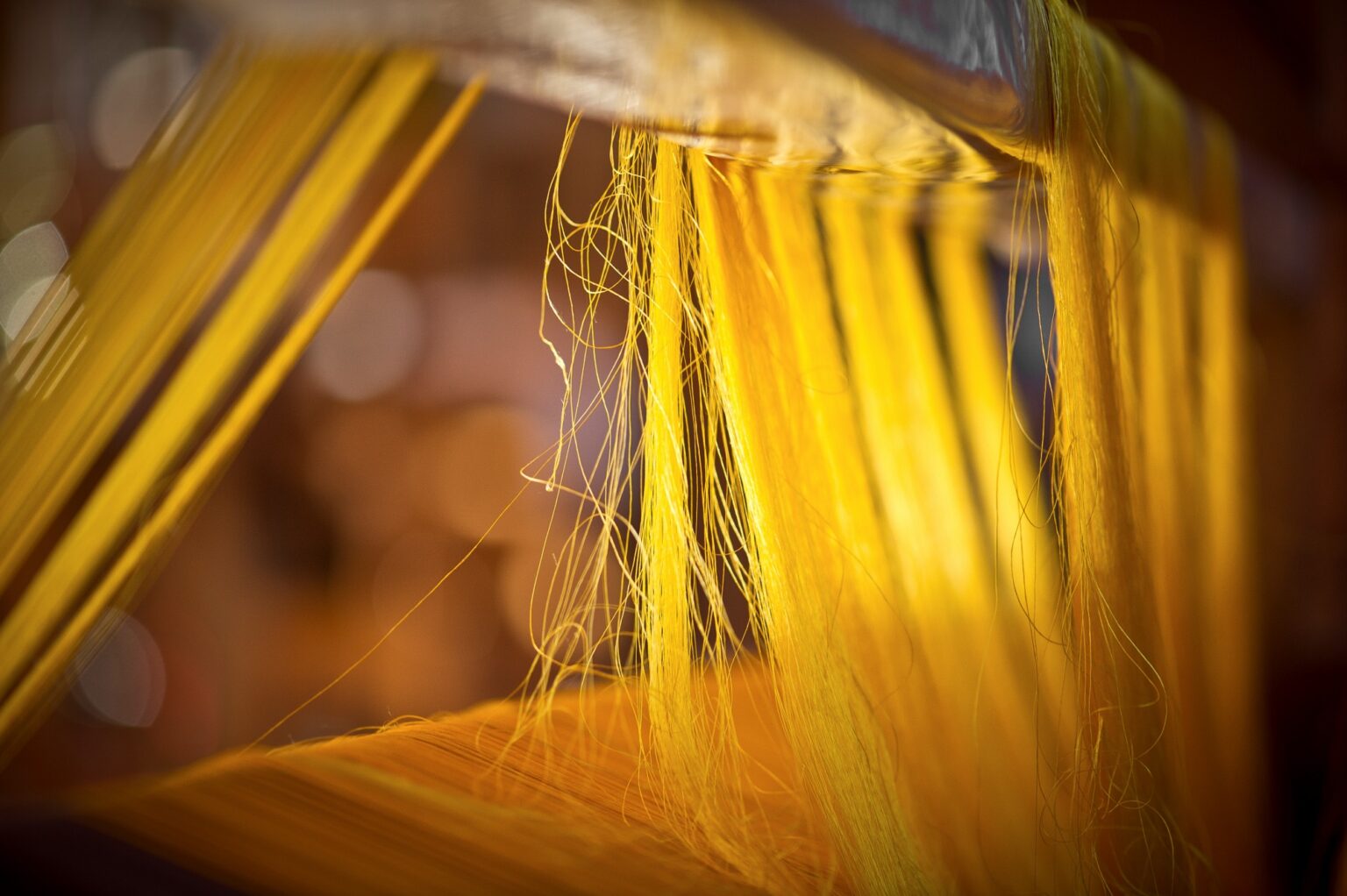 MIA Features ‘Golden Spider Silk’ Exhibition